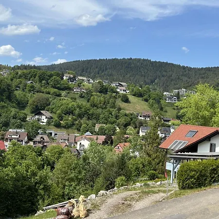 Waldklang Panorama