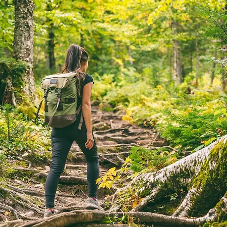 Waldklang Panorama - Eingezaeunt - Aussen-sauna - T-fussball - Billard - Hunde Willkommen *