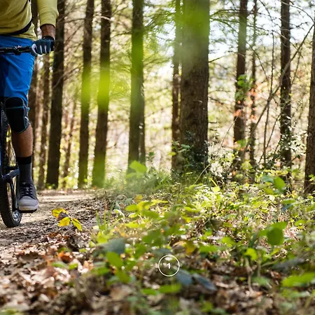 Prázdninový dům Waldklang Panorama - Eingezaeunt - Aussen-sauna - T-fussball - Billard - Hunde Willkommen