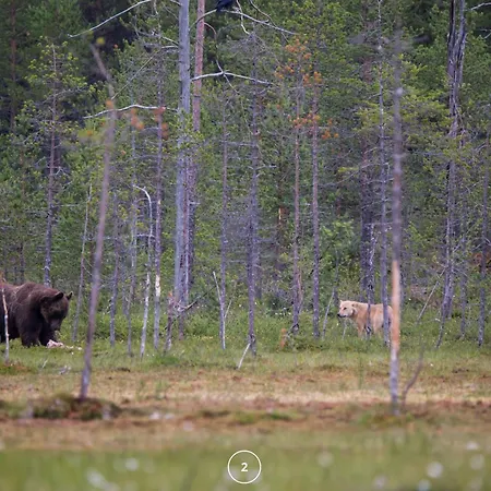Waldklang Panorama - Eingezaeunt - Aussen-sauna - T-fussball - Billard - Hunde Willkommen *